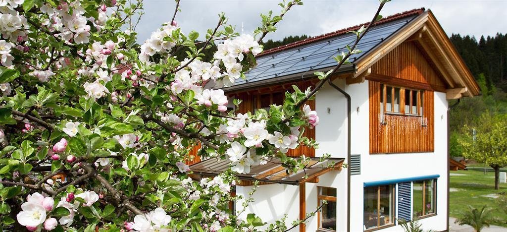 Alpencamp Kärnten Kotschach-Mauthen Exteriör bild