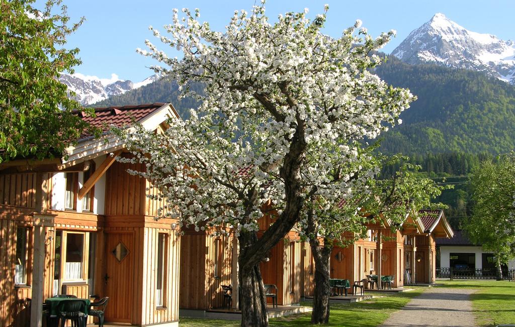 Alpencamp Kärnten Kotschach-Mauthen Rum bild